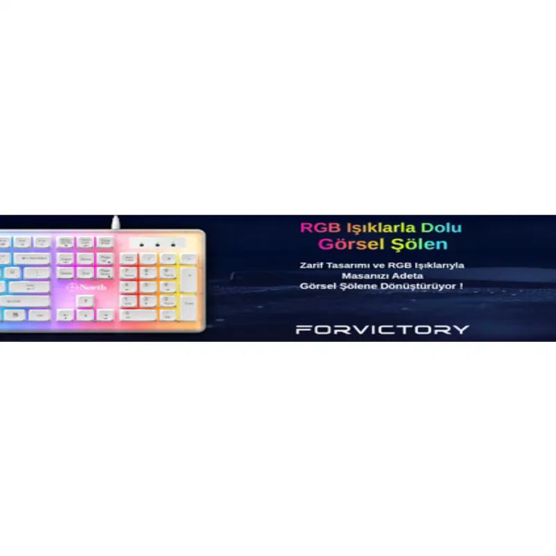 North-Paladin-Mekanik-Hisli-Turkce-Rgb-Beyaz-Gaming-Klavye